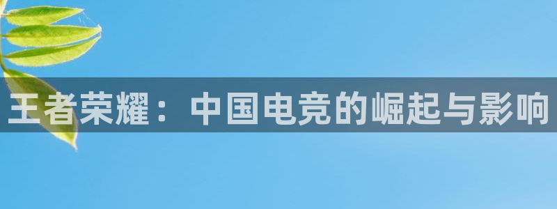 乐竞电竞|官网