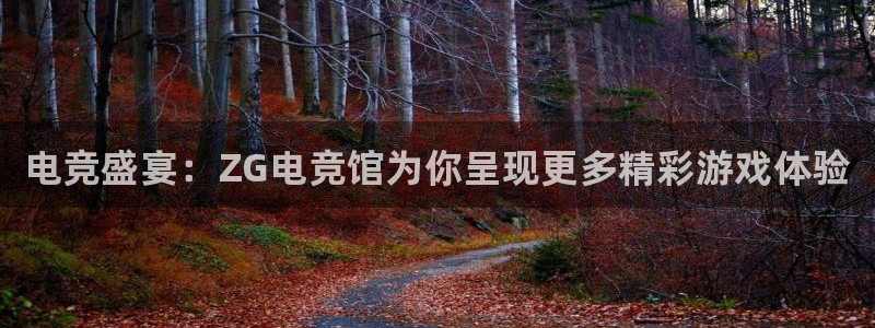 乐竞电竞体育官网：电竞盛宴：ZG电竞馆为