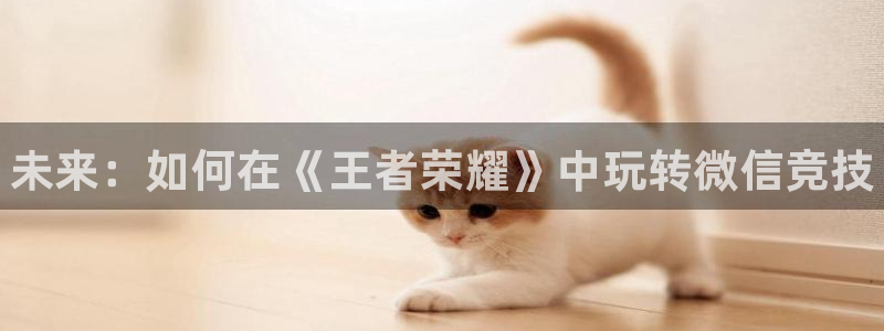 乐竞电竞官网介绍：未来：如何在《王者荣耀