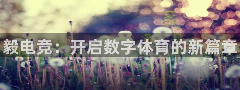 乐竞电竞登录：毅电竞：开启数字体育的新篇