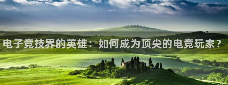 乐竞电竞官网A：电子竞技界的英雄：如何成